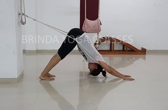 Adhomukh Swanasan (Downward Dog Stretch)