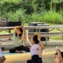 Yoga Classes in Suwanee, GA: Your Neighbourhood Guide